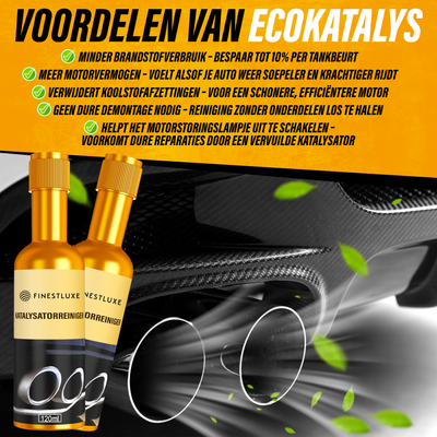 EcoKatalys | Katalysator Reiniger Auto